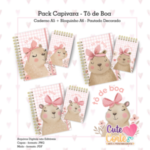 Pack - Capivara - To de Boa - 3 Cadernos + 3 Bloquinhos